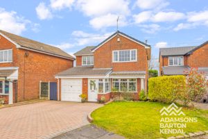 Photo 49- click for photo gallery